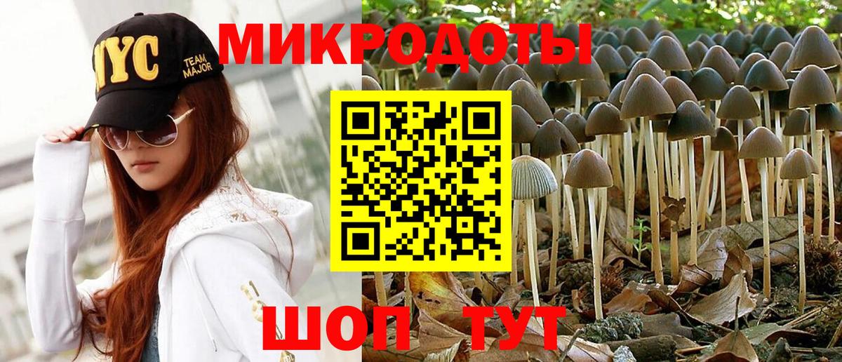 Иркутск  Псилоцибиновые грибы MAGIC MUSHROOMS  Галлюциногенные грибы Psilocybe  Вход с VPN 